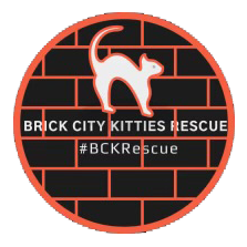 lgo_brickcitykittiesrescue.png